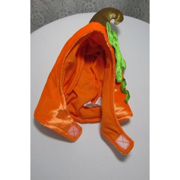 Cute As A Pumpkin Costume - Picture 8 of 10